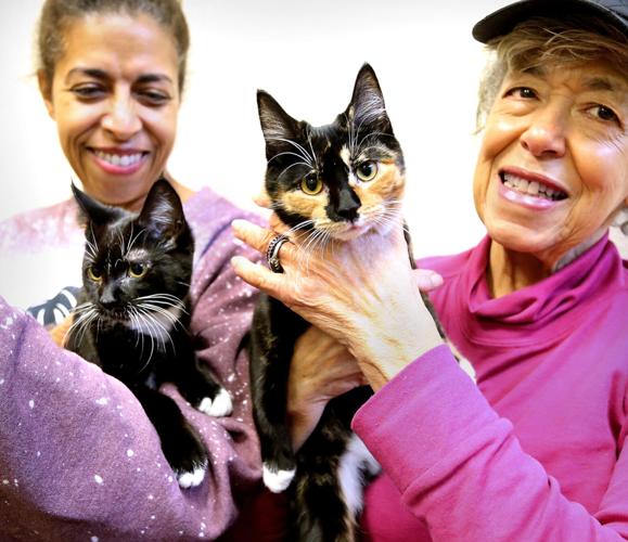 Frederick County's animal shelter is crowded Winchester Star