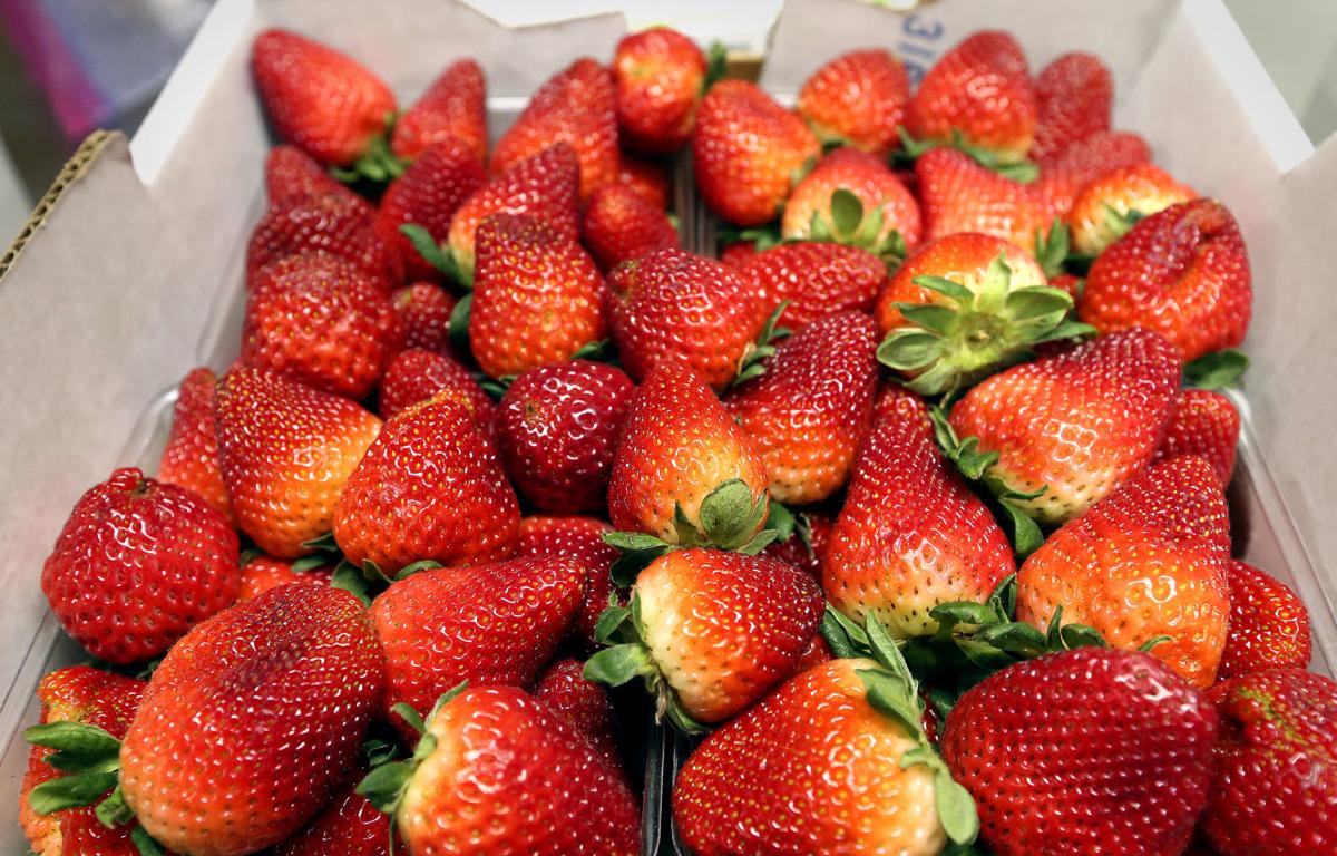 Featured image of post Trevor Blox Fruits