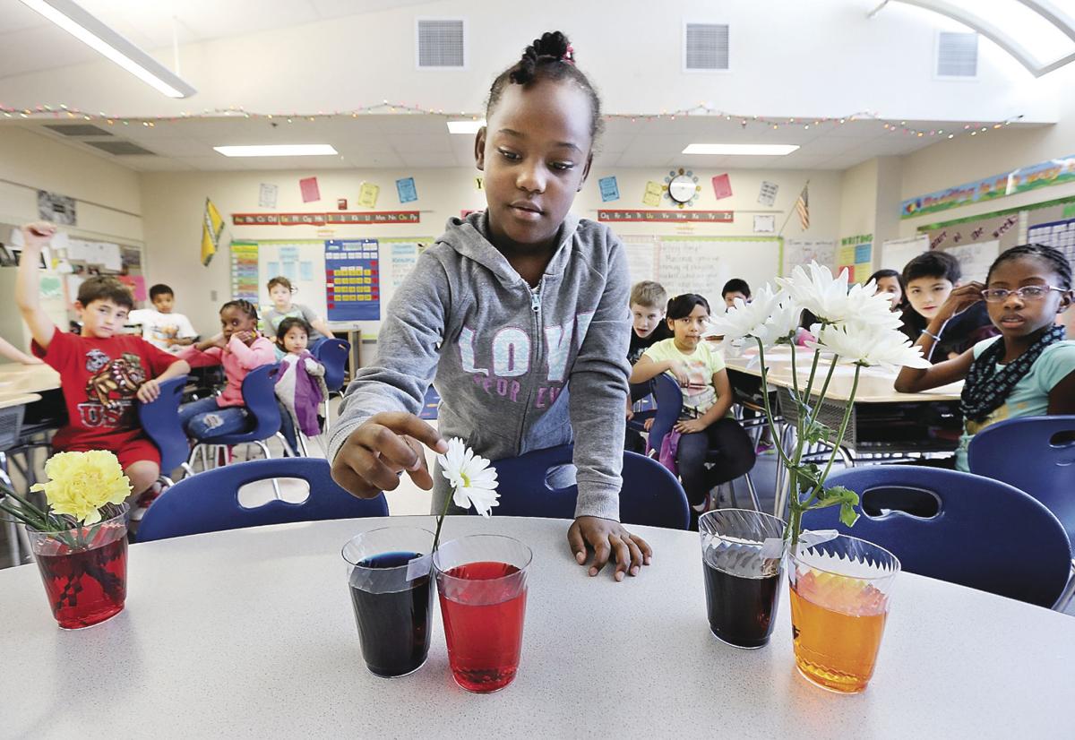 John Kerr Elementary School to hold an Art and Science Fair