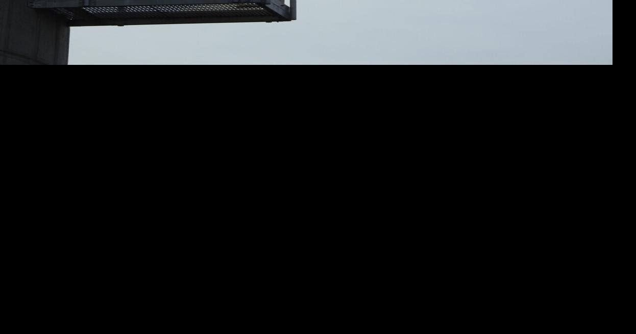 Hanging around Bird decoy doing it's job on Boyce water tower Winchester Star