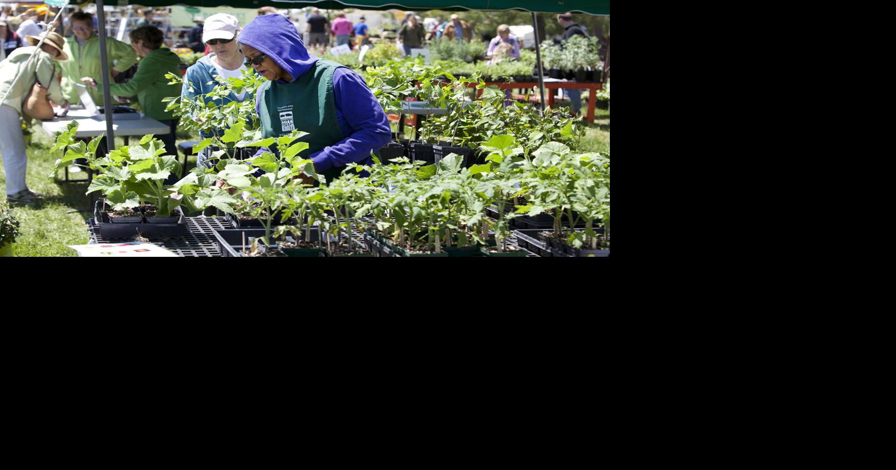 Make mom happy with visit to Blandy's Garden Fair Winchester Star