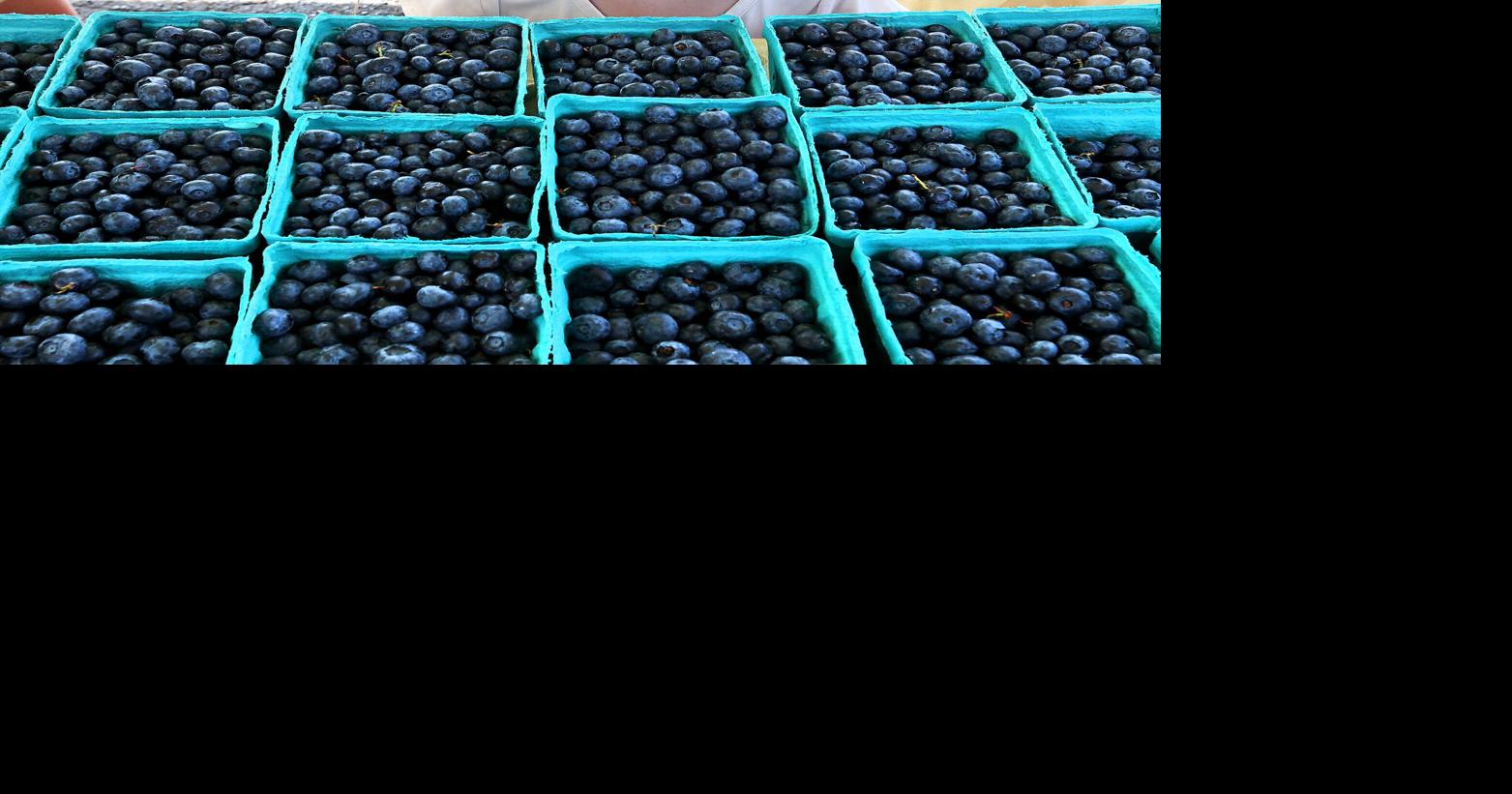 Farmers market debuts at Solenberger's on Berryville Ave.