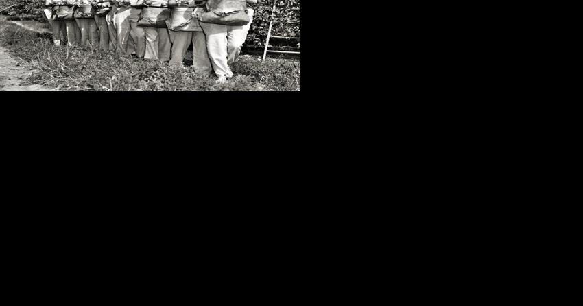 Out of the Past ... from the archives of The Winchester Star - Vimarsana News