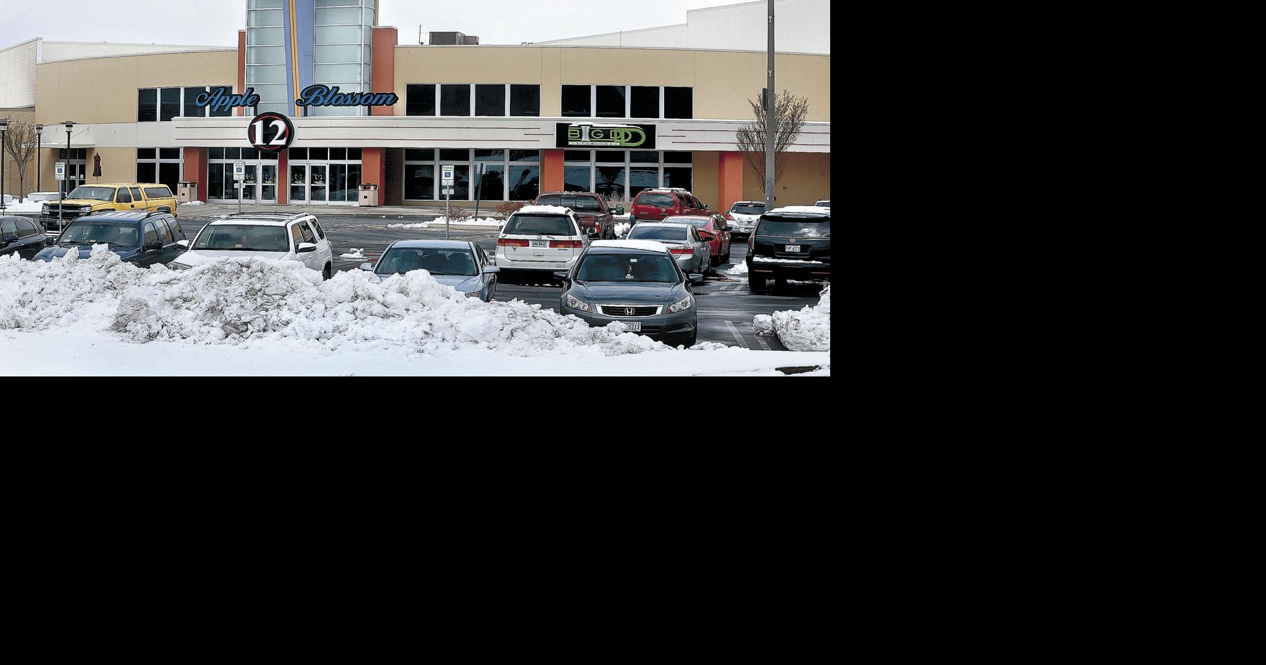 Carmike S Apple Blossom 12 To Convert To Amc Theatres Business Winchesterstar Com