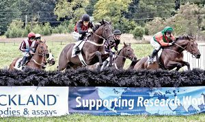 Winchester Races Fall horse races set for this weekend | Lifestyles | winchesterstar.com