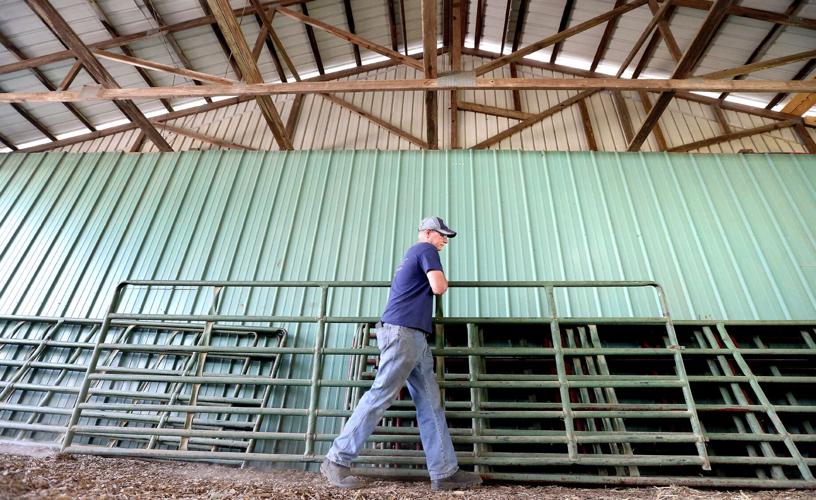 It's fair time in Clarke County Winchester Star