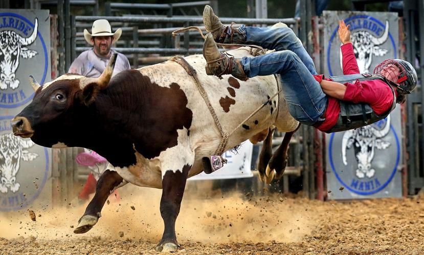 'Man versus beast': Bullride Mania bucks its way through the Frederick ...