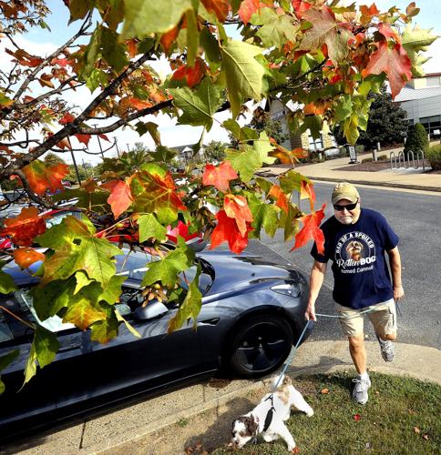 First Day of Fall
