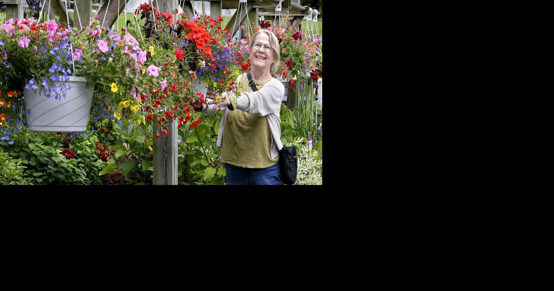 She brakes for flowers | Eedition | winchesterstar.com