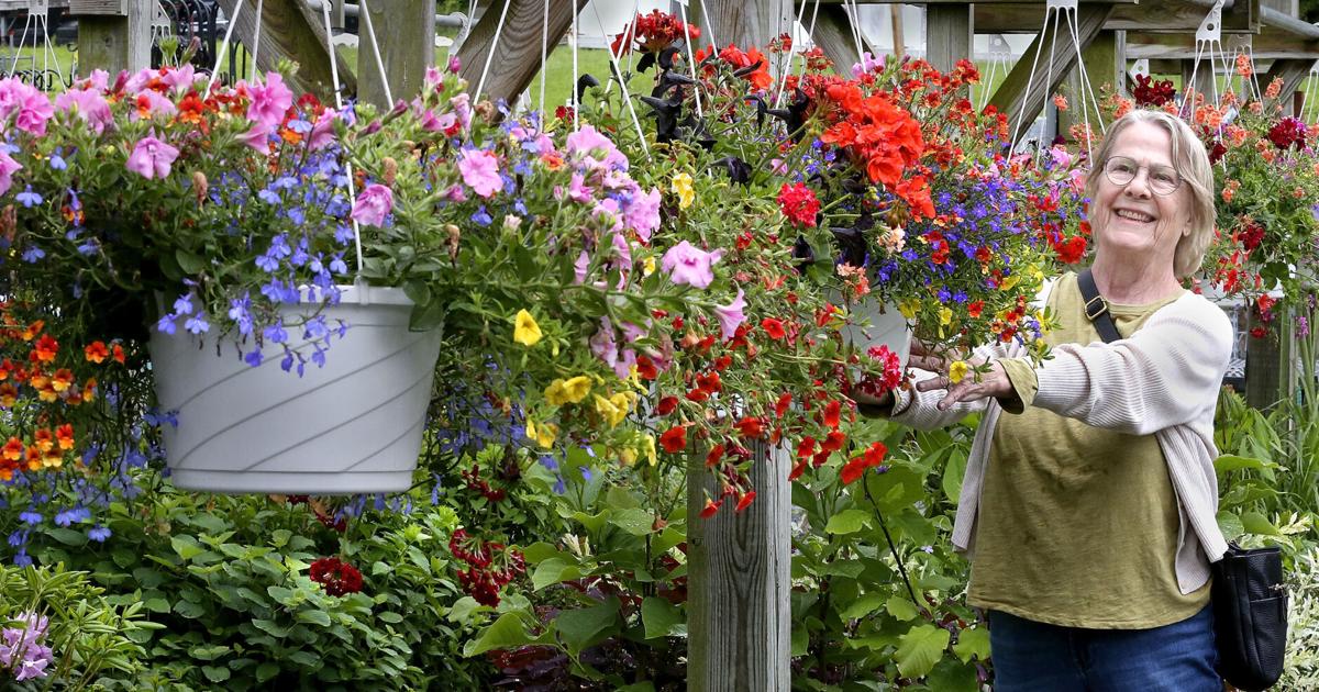 She brakes for flowers | Eedition | winchesterstar.com