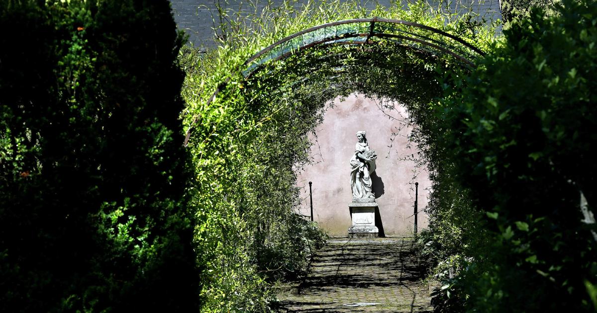 Msv Gardens Reopen To Visitors Winchester Star Winchesterstar Com