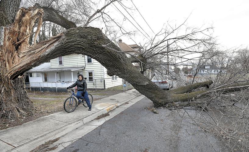 Wind storm downs trees, knocks out power in area | News ...