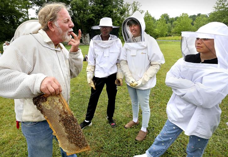 Sweet spot: Governor's school students get primer on honey bees ...