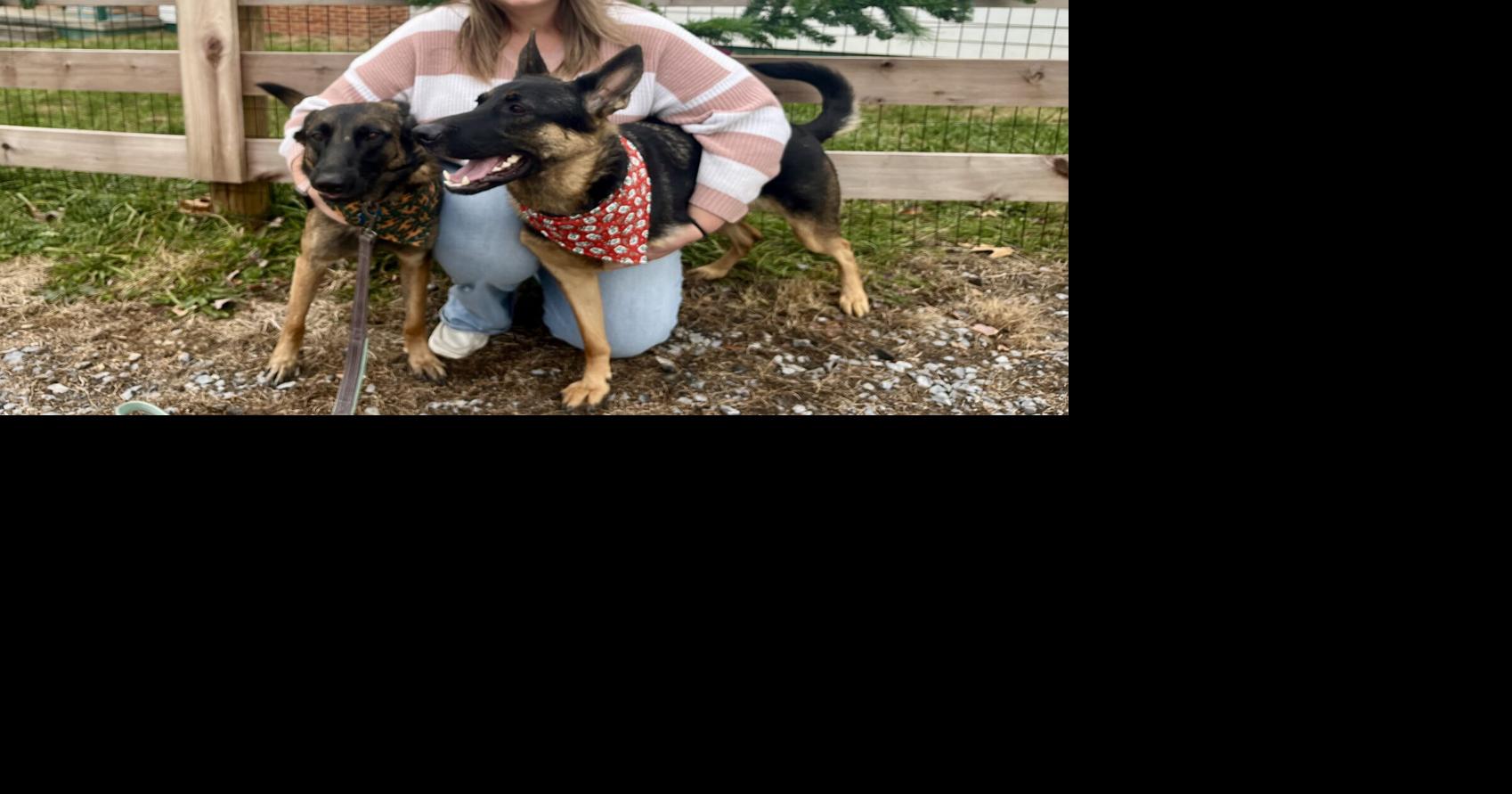 Welcome to '3-Legged Ranch,' the home of 2 unique German Shepherds