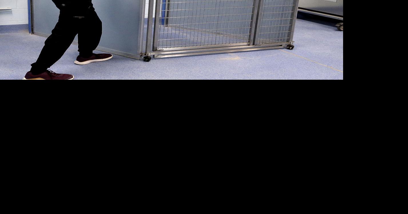 Clarke County Animal Shelter addition opens Winchester Star