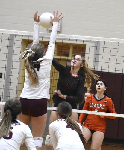 Luray Sweeps Clarke County For Region 2b Volleyball Title Winchester Star Winchesterstar Com