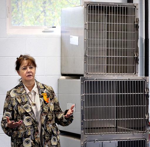 Clarke County Animal Shelter addition opens Winchester Star