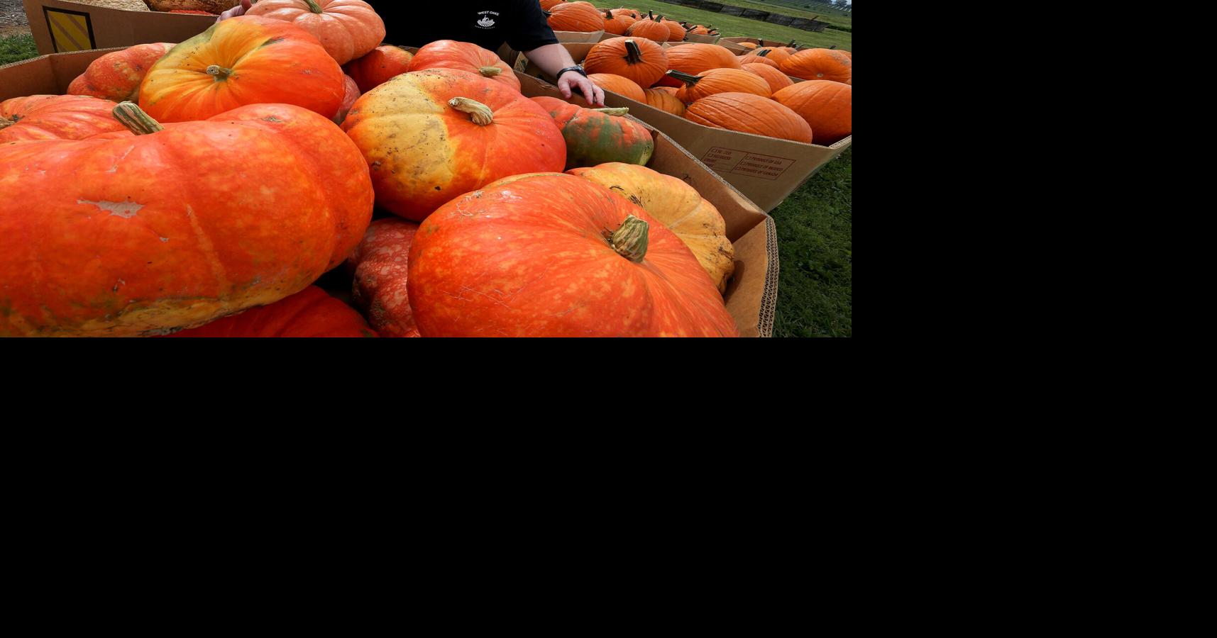 Tourism Office launches agritourism advisory group