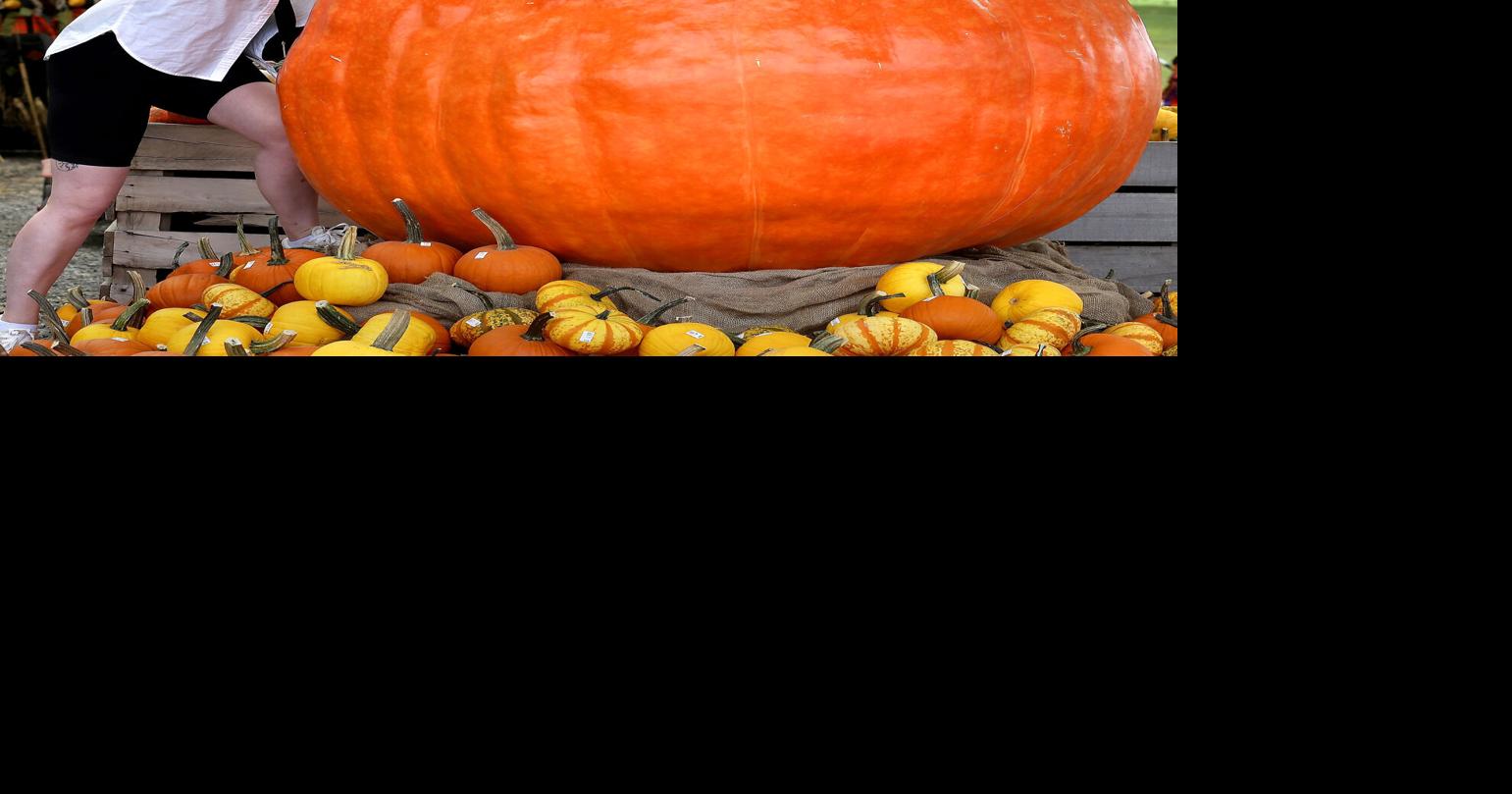 Land of giants Winchester Star