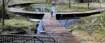 Wetlands walk