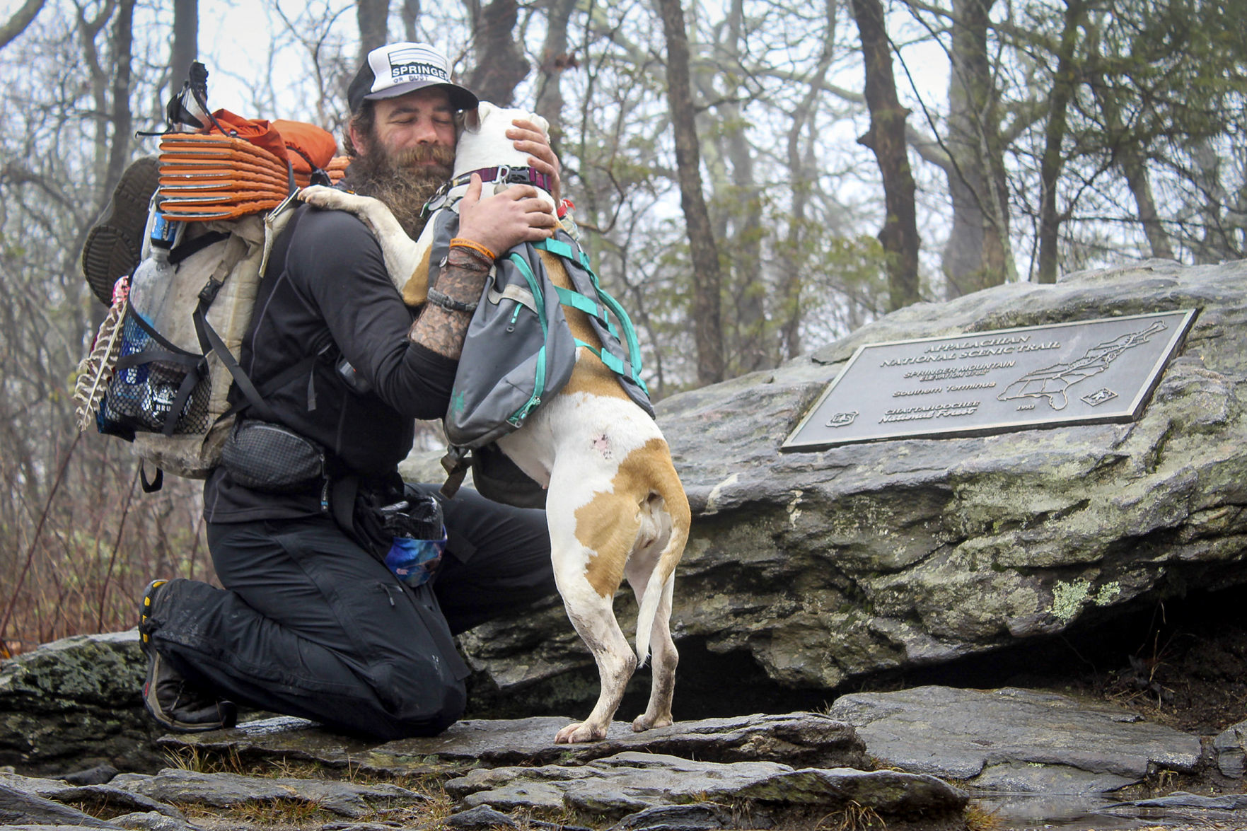 Dogs on 2024 the appalachian trail