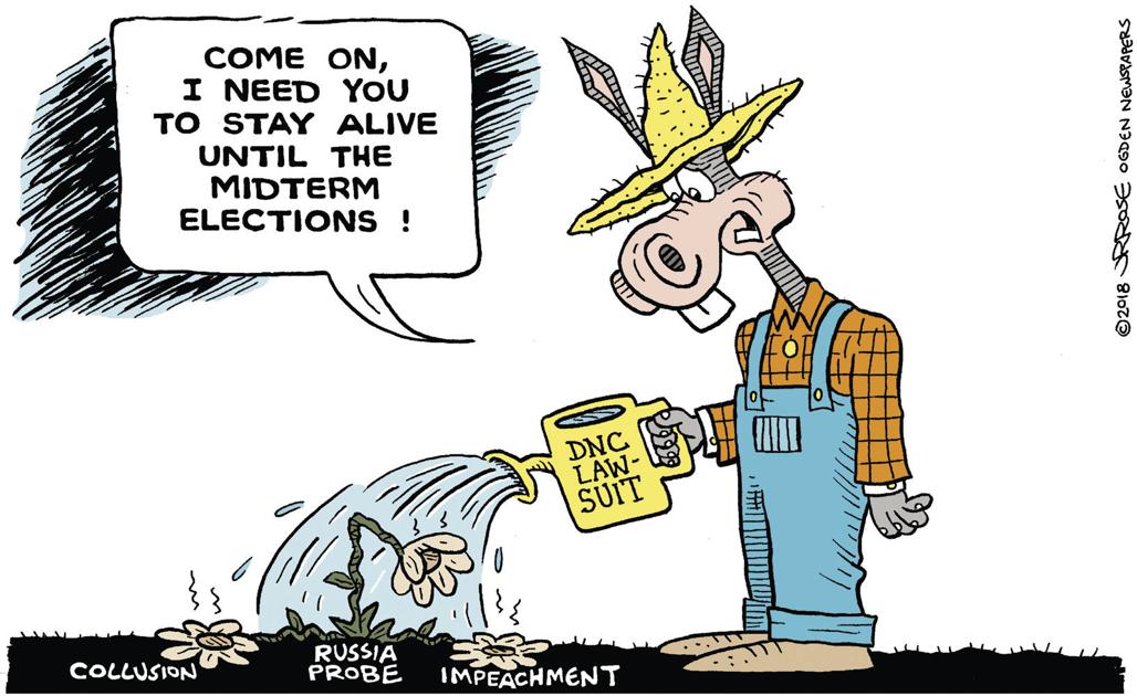 Watering The Garden Cartoons Winchesterstar Com