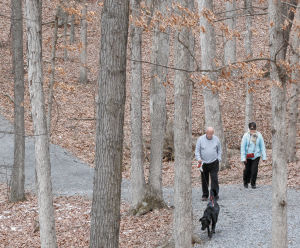 An early spring walk | News | winchesterstar.com