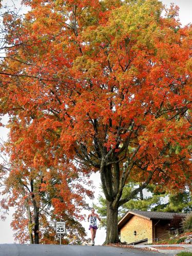 Running through fall