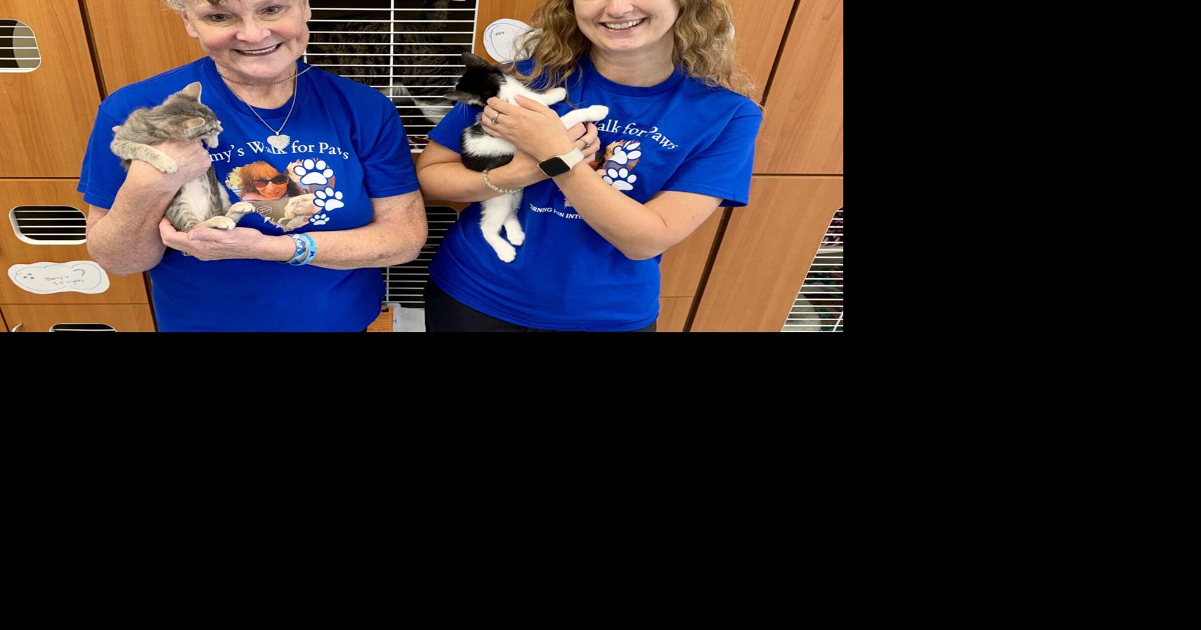 Amy's Walk for Paws returning to help Winchester Area SPCA