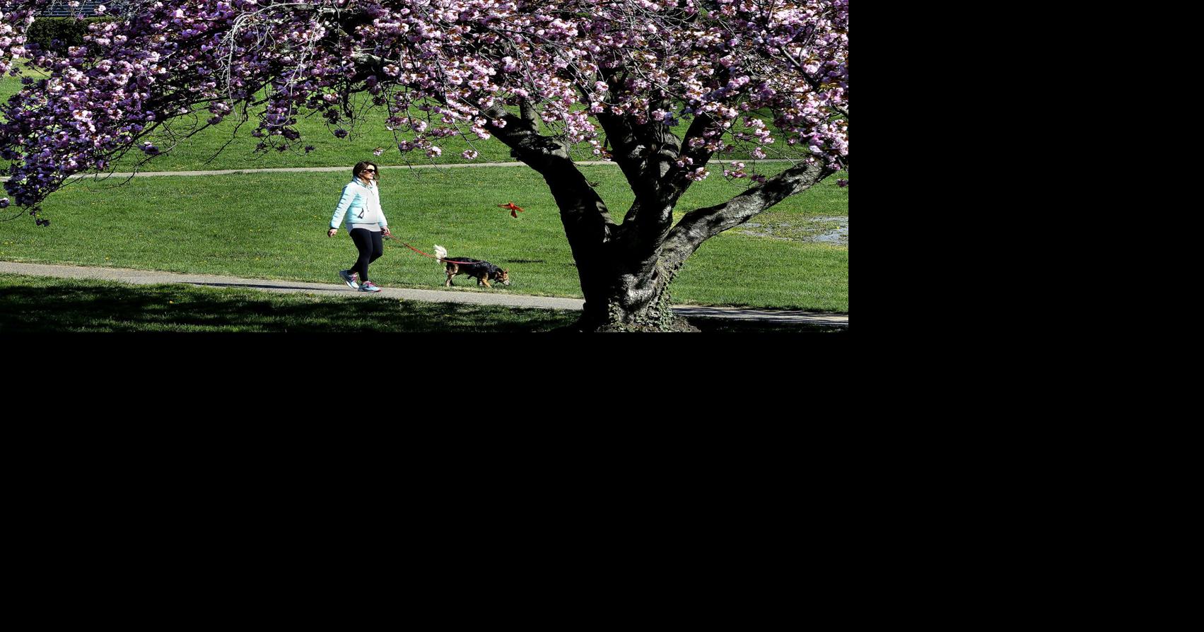 Spring walk Winchester Star