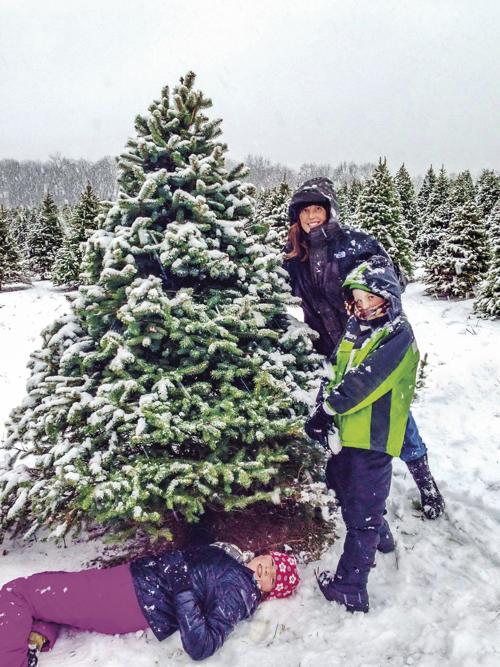 Ready To Cut Your Own Tree Farms Are Open Winchester Star Winchesterstar Com