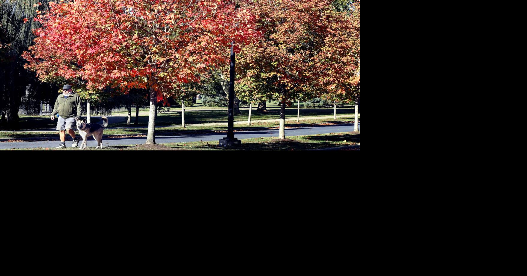 Fall splendor | Eedition | winchesterstar.com