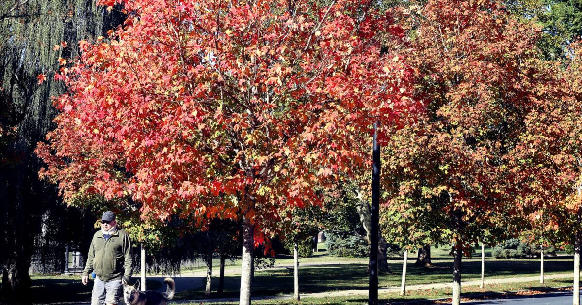 Fall splendor | Eedition | winchesterstar.com