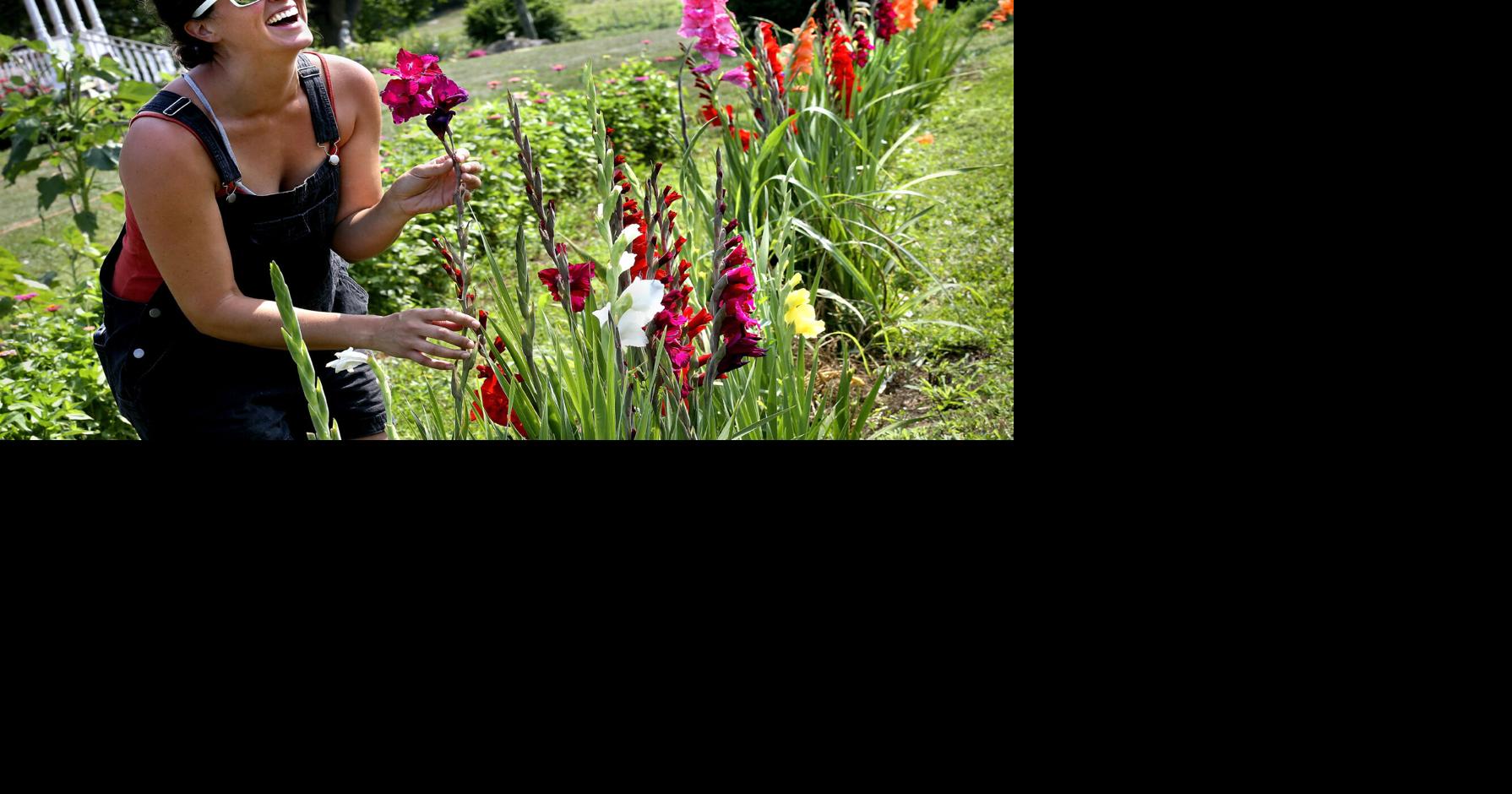 Summer bounty Winchester Star