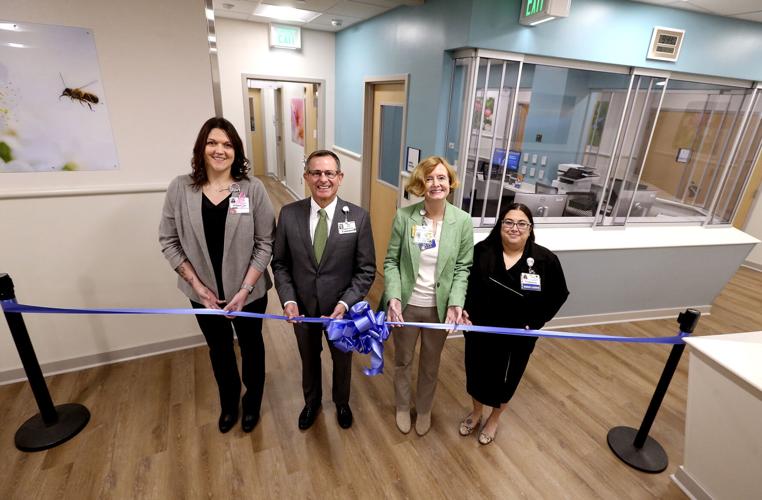 New Valley Health unit dedicated to psychiatric services is first of ...