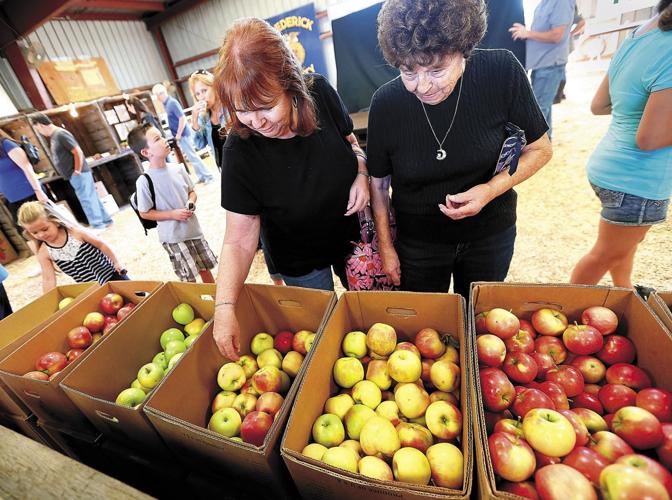 Plenty of fun to pick from at Shenandoah Valley Apple Harvest Festival