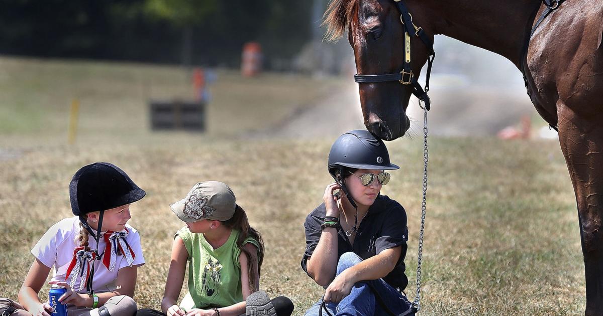 Rewarding Horses 4-H participants: Caring for horses rewarding yet challenging ...