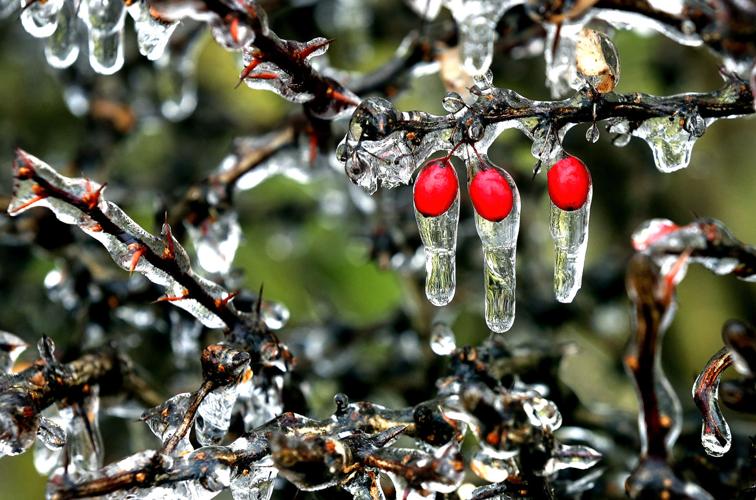 Ice storm leads to thousands of power outages across the area