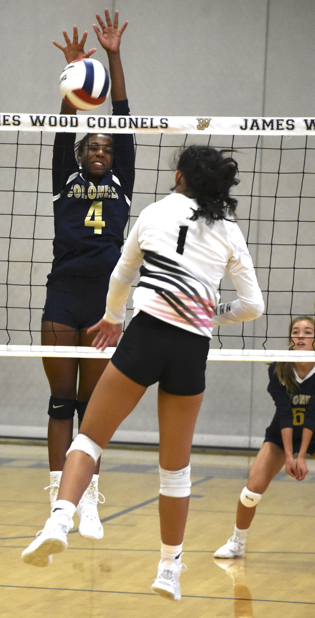 Izzy Taylor Volleyball Izzy Taylor Volleyball