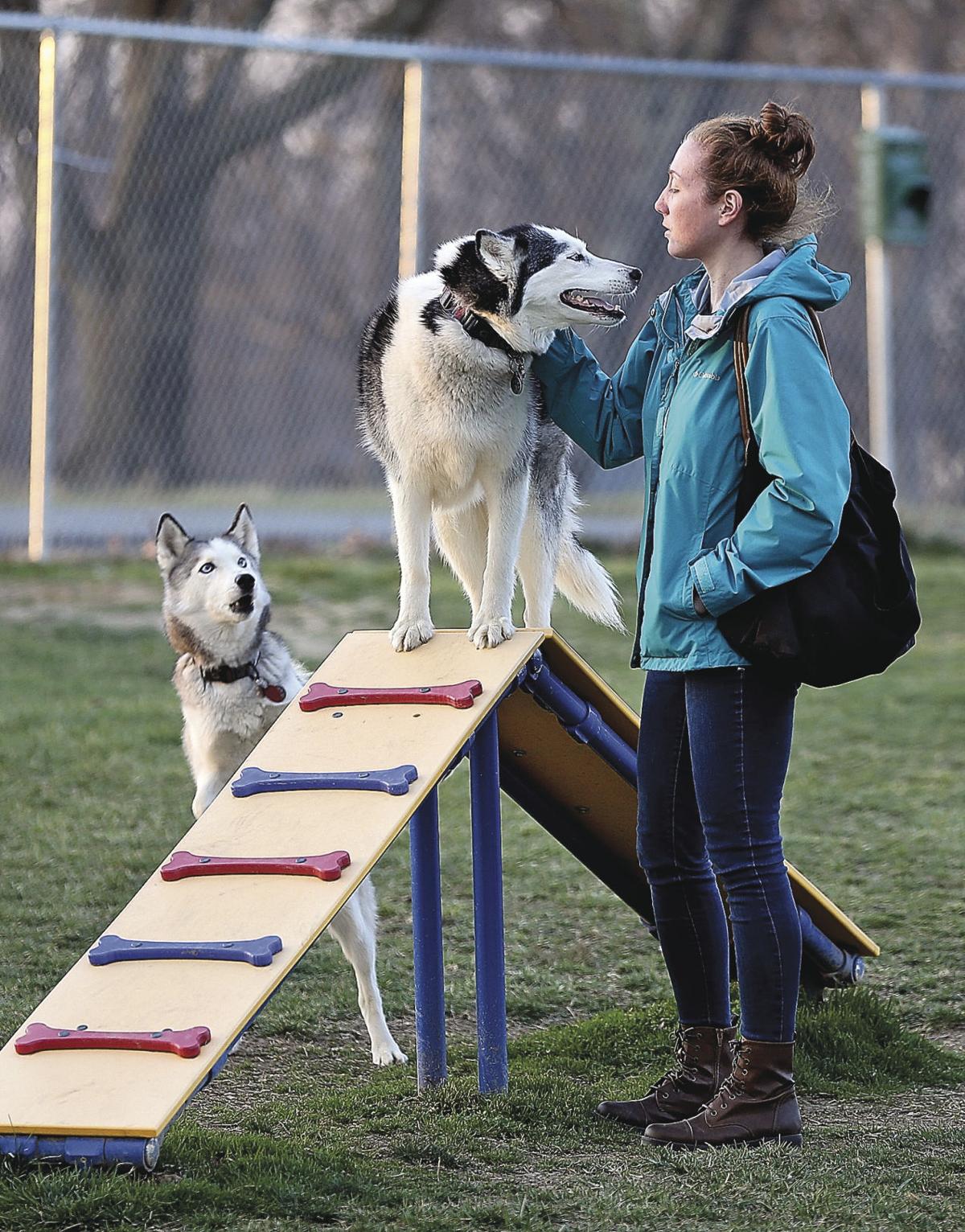 City dog park a thrill for dogs and humans | Winchester