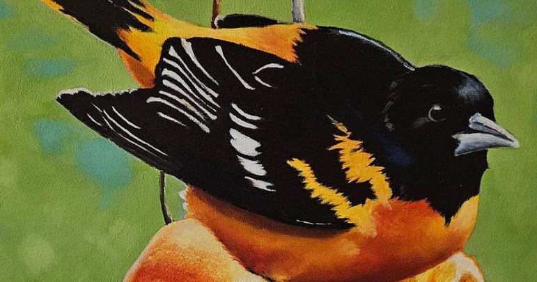 ‘Climate Sensitive Birds’ exhibit opens Mar. 22