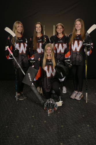 Winona hockey players make statewide season preview Sports