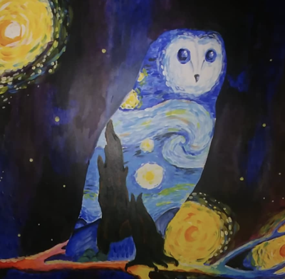 Owls in Outer Space WCHC