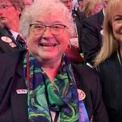 Lewiston Lion tapped as new district governor - Vimarsana News