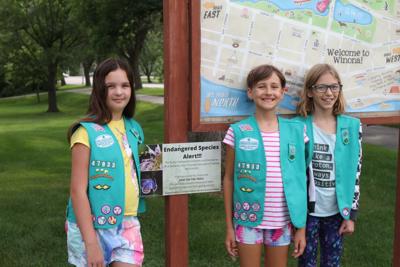 Girl Scouts - endangered species