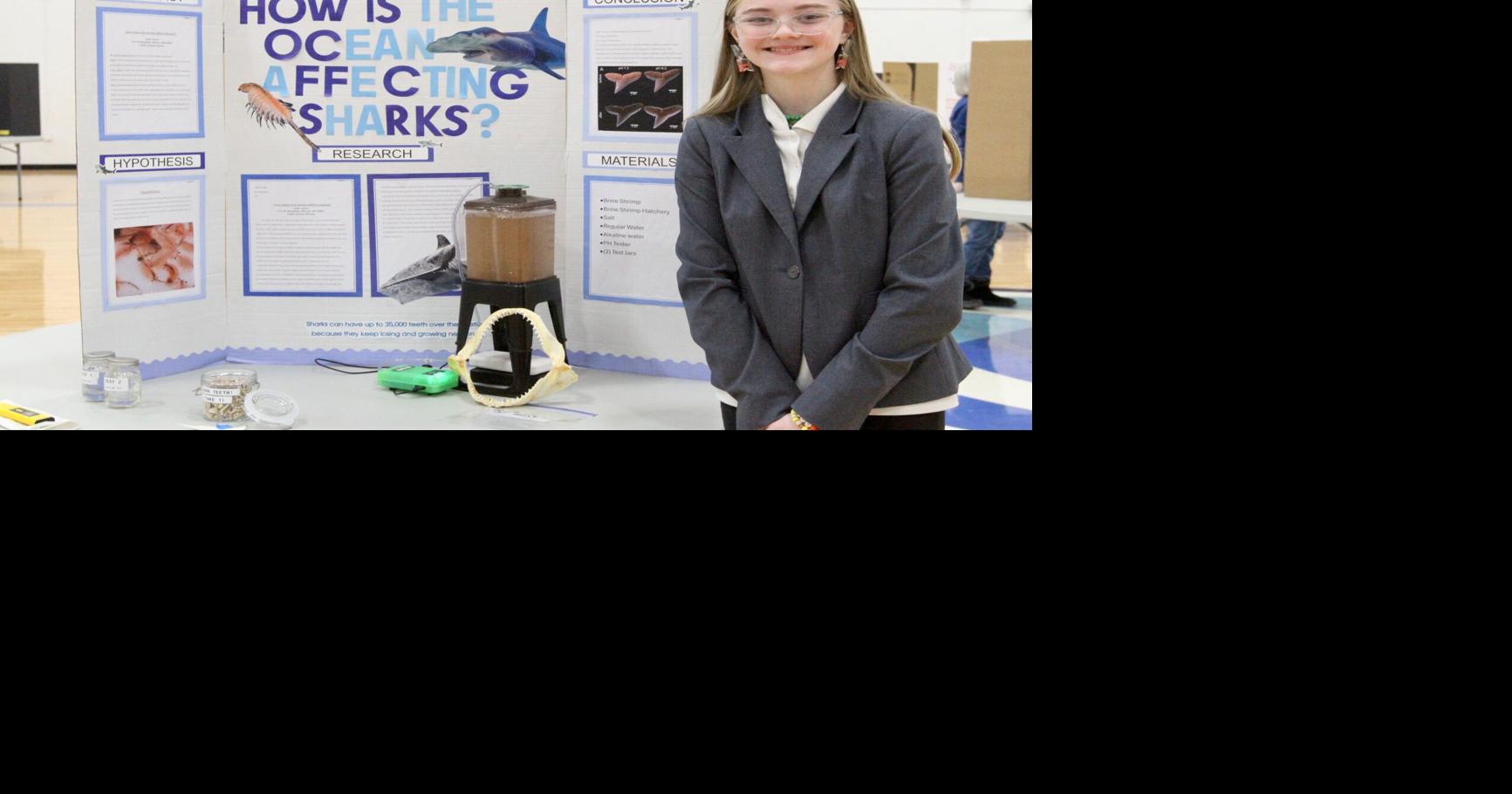 Curiosity is king at the science fair