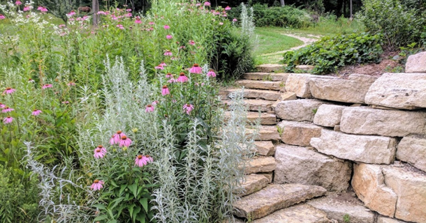 Tour of pollinator projects on Aug. 6 - Vimarsana News