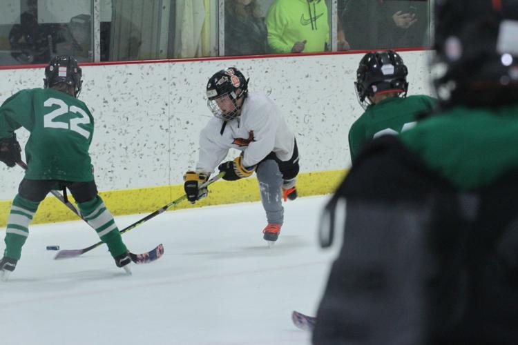 Big day for young skaters at Winona jamboree Sports winonapost com