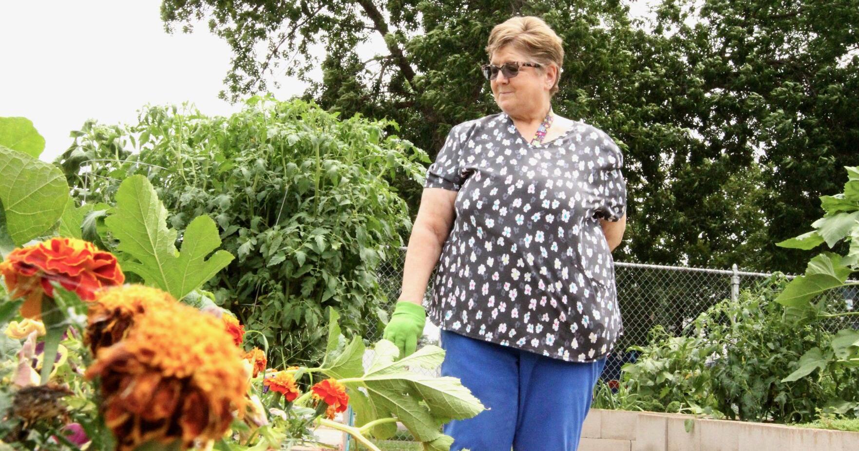 New spot for Winona community garden? - Vimarsana News