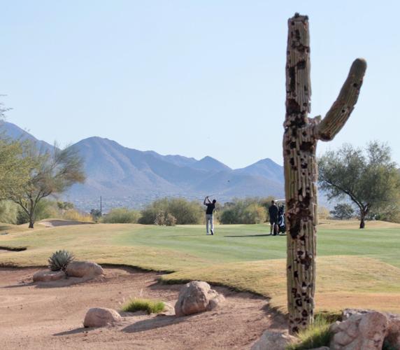 Missing topfive QSchool finish makes 2025 tougher, but Mario Tiziani